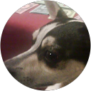 A & J Insurance Services 14 Marcus Mcnally profile picture